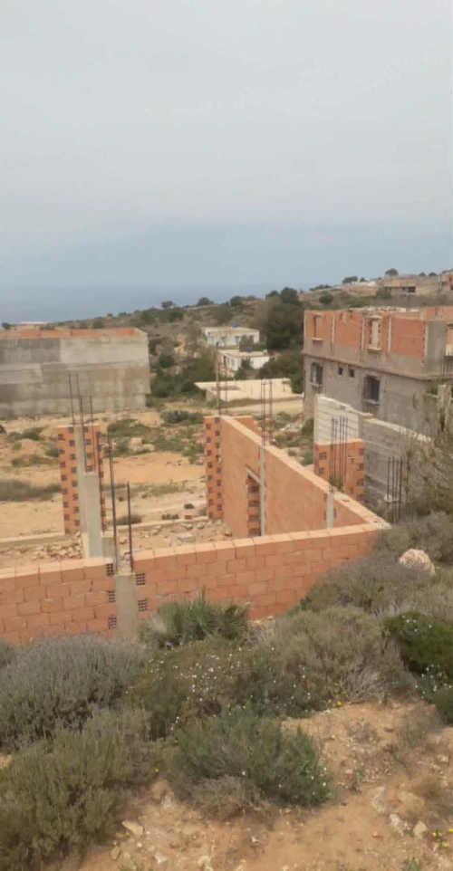 Vente Terrain Tlemcen Honaine