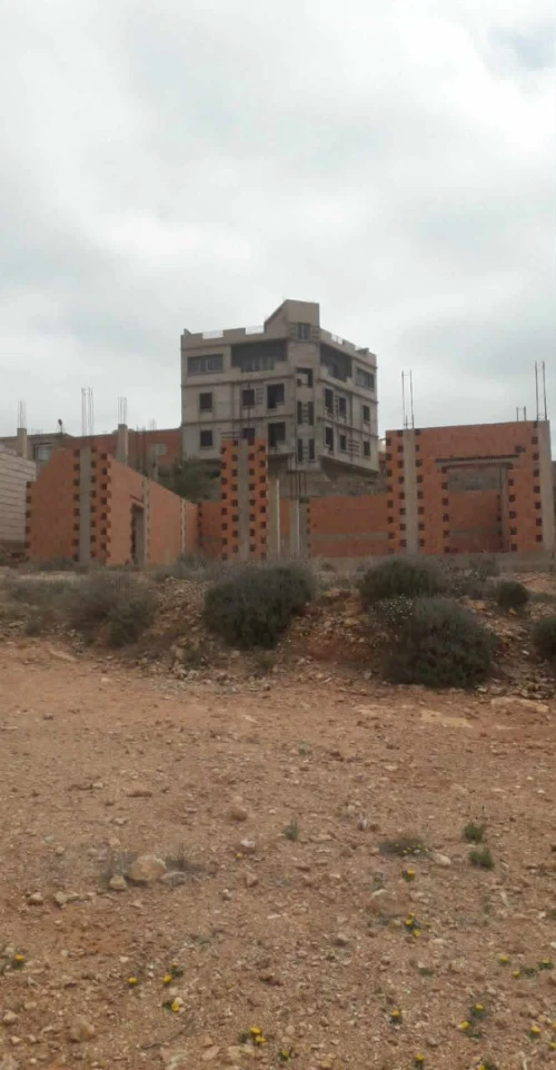 Vente Terrain Tlemcen Honaine