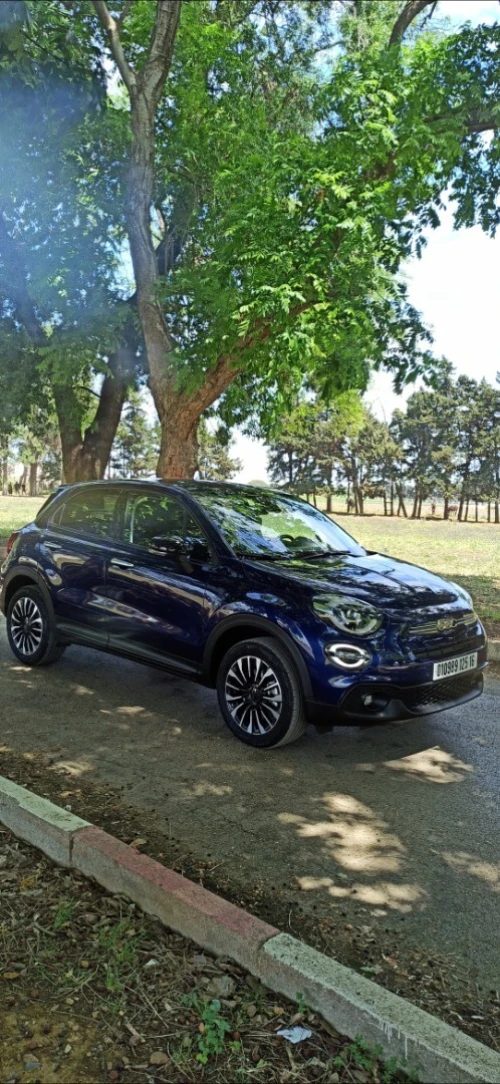 Fiat 500x 2025 Fiat 500x