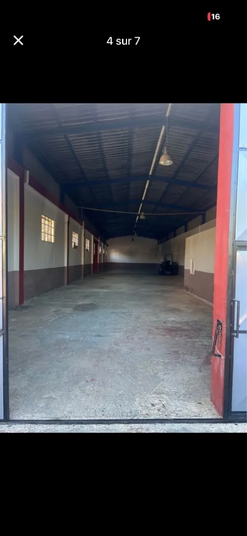 Location Hangar - Usine Blida Beni tamou