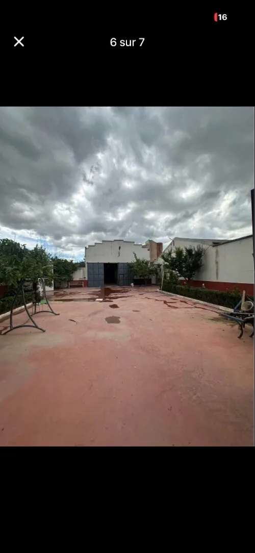 Location Hangar - Usine Blida Beni tamou