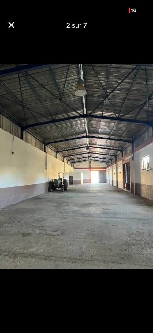 Location Hangar - Usine Blida Beni tamou