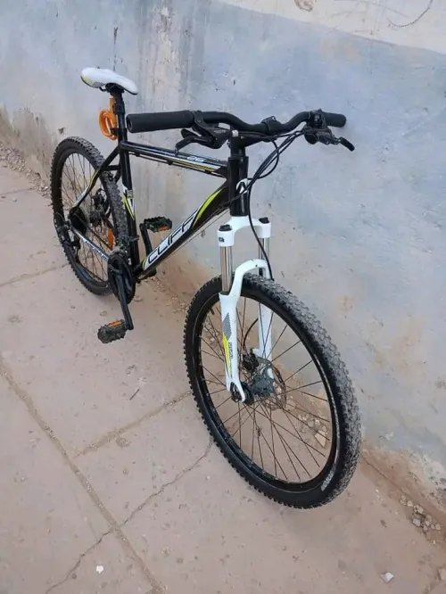 مستغانم