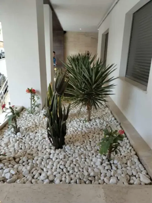 Espace vert et Gazon Naturel 