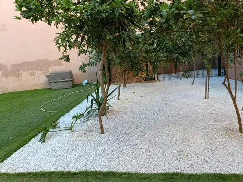 Espace vert et Gazon Naturel 