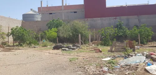 Vente Hangar - Usine Tlemcen Remchi