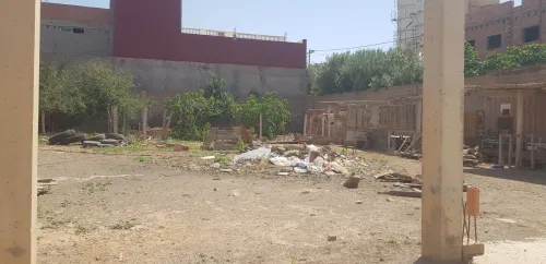 Vente Hangar - Usine Tlemcen Remchi