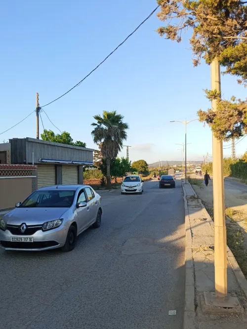 Location Local Alger Ain benian