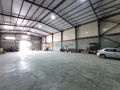 Location Hangar - Usine Blida Meftah