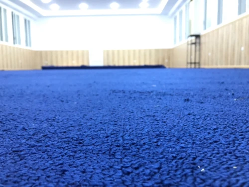 Moquette pour hôtel et salle de conférence 