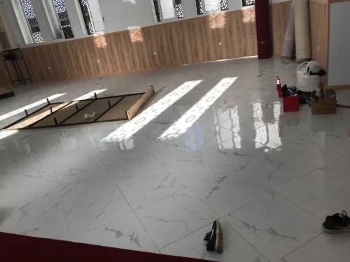 Moquette pour hôtel et salle de conférence 