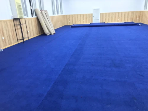 Moquette pour hôtel et salle de conférence 