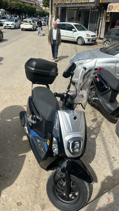 Vms Estate x 2025