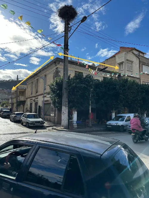 Vente Villa Blida El affroun