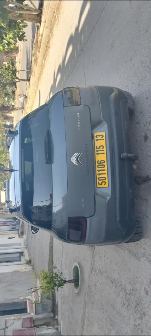 Citroen C4 Cactus 2015 Shine