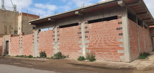 Vente Terrain Tébessa Cheria