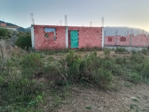 Vente bien immobilier Jijel Texenna