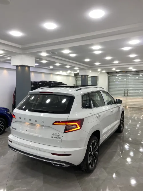 Skoda Karoq 2025 Full options