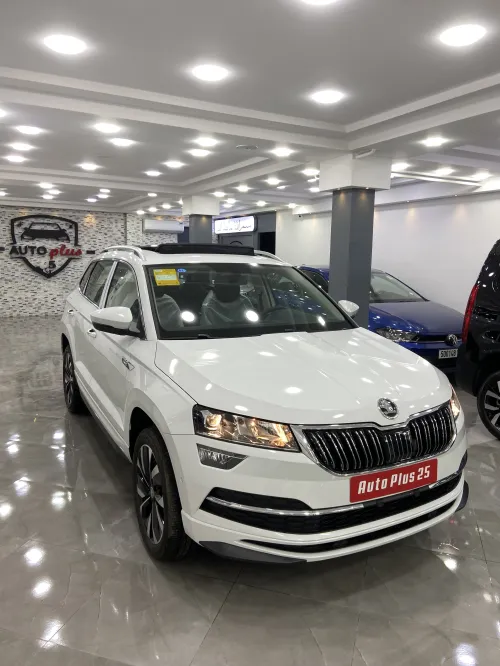 Skoda Karoq 2025 Full options