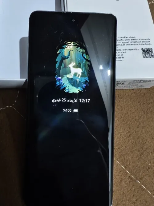 Honor magic 6 lite 