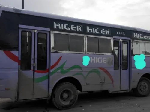 Higer Higer 2013