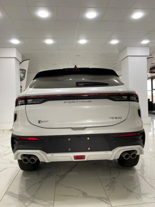 DF Joyear  T5 EVO 2025 Luxury
