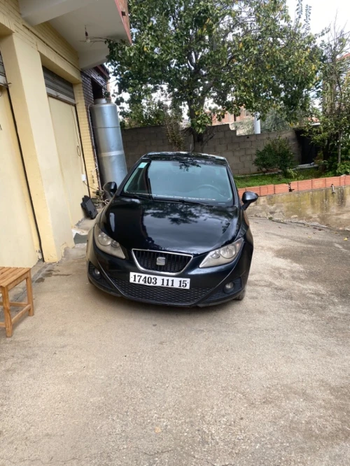 Seat Ibiza 2011 Loca