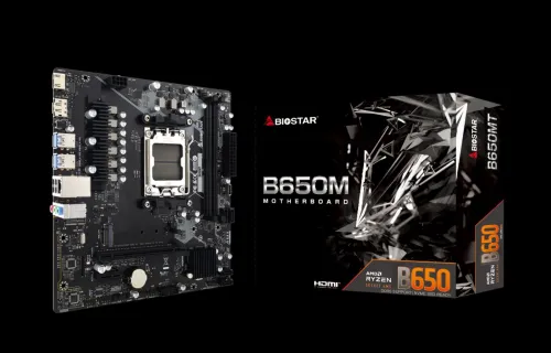CARTE MERE BIOSTAR B650MT