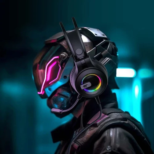 CASQUE GAMING HAVIT H2040d - RGB, HAUT-PARLEUR DE 50 MM, POUR PC/PS5/PS4/XBOX