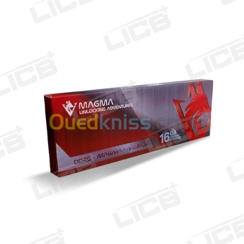 Mémoire RAM MAGMA 16GB DDR5 4800MHz