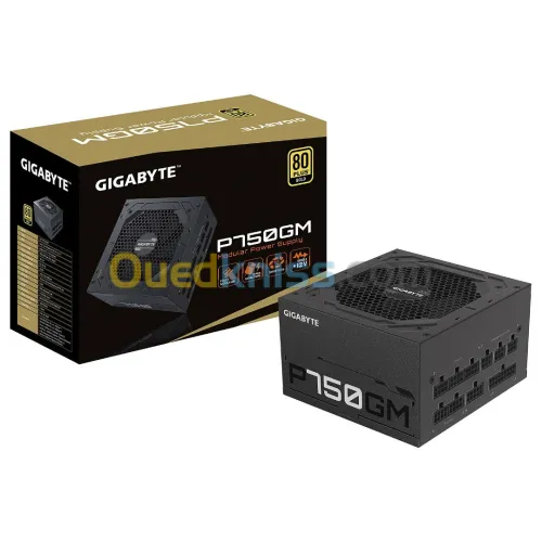 ALIMENTATION Gigabyte GP-P750GM
