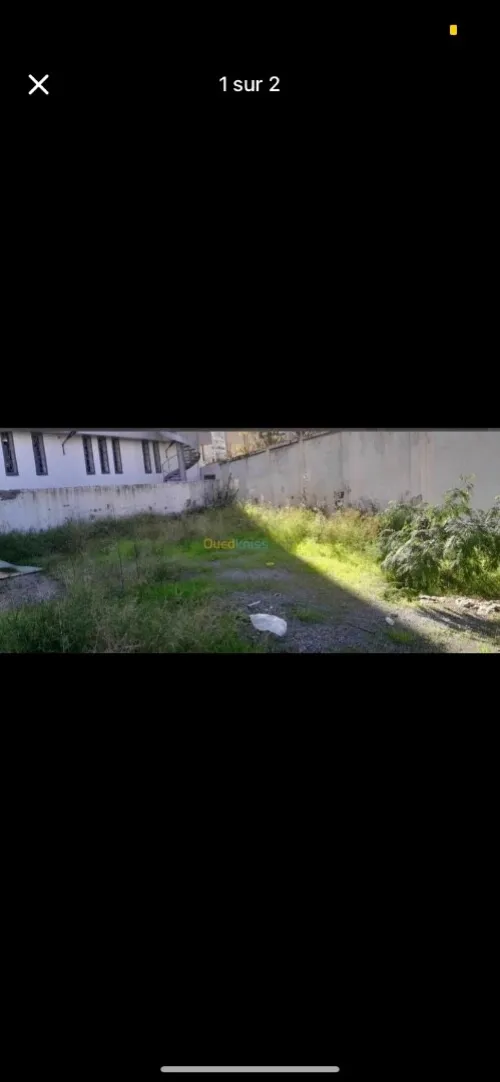 Vente Terrain Alger Staoueli