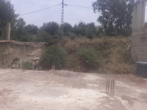 Vente bien immobilier Blida Bouarfa
