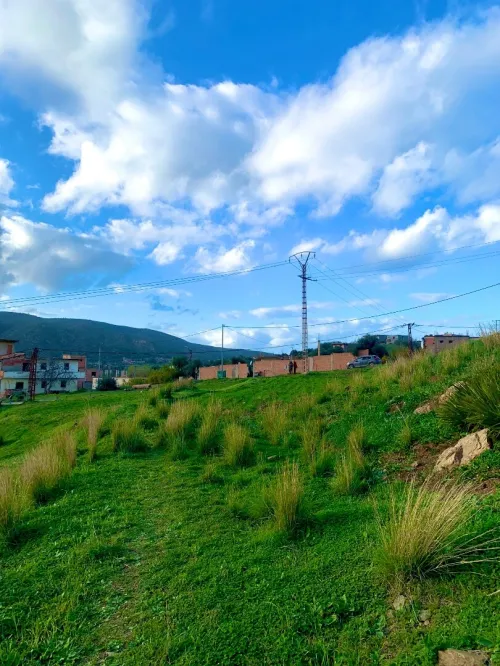 Vente Terrain Boumerdès Bouzegza keddara