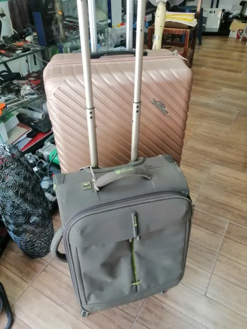 valise Delsey