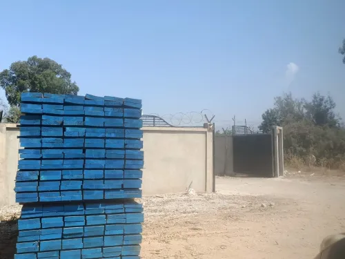 Location Terrain Tipaza Kolea