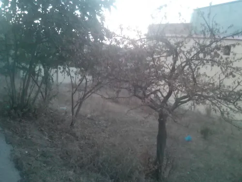 Vente Villa Jijel Taher
