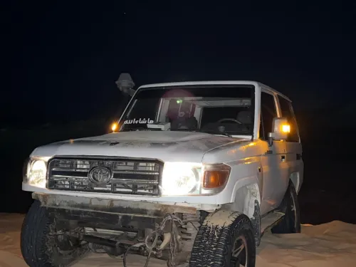 Toyota Land Cruiser 1996 Court