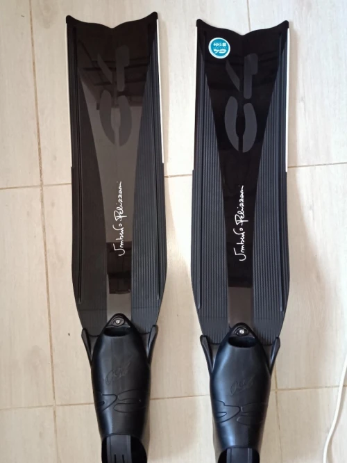 Les palmes C4 carbon