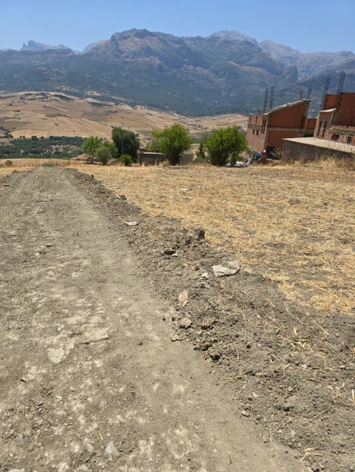 Vente Terrain Tizi Ouzou Ouadhia