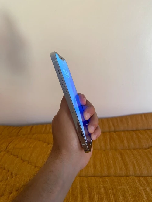 Iphon 12 pro max