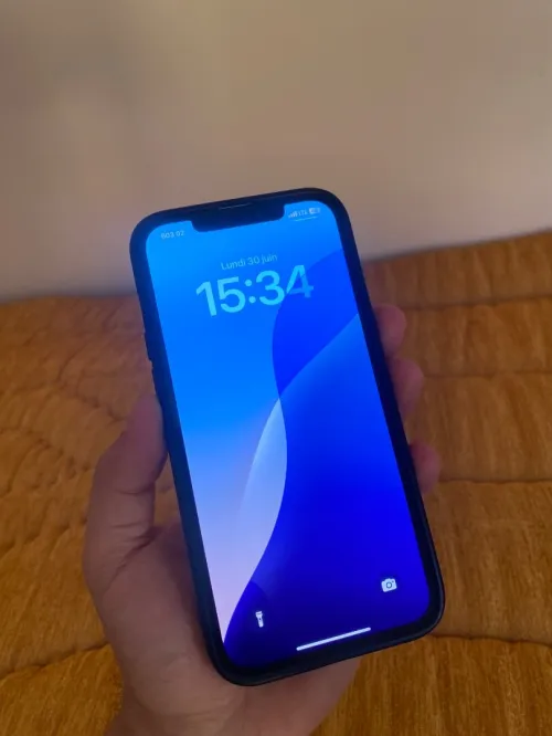 Iphon 12 pro max