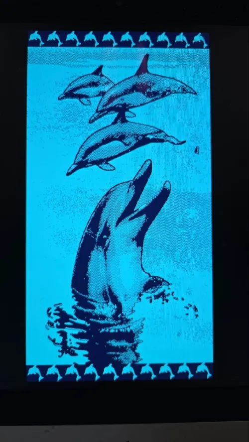 serviette de plage فوطة بحر
