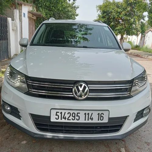 Volkswagen Tiguan 2014 Cup
