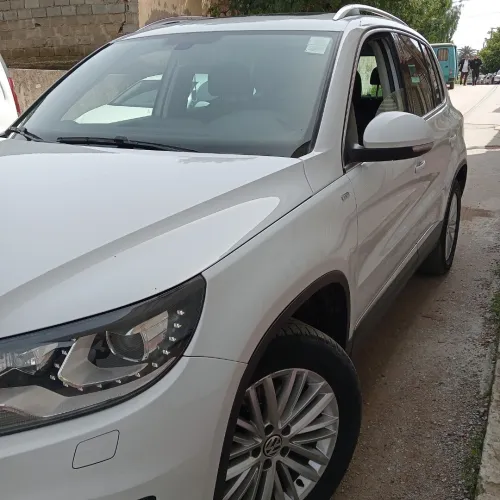 Volkswagen Tiguan 2014 Cup