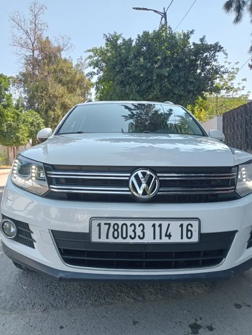 Volkswagen Tiguan 2014 Cup