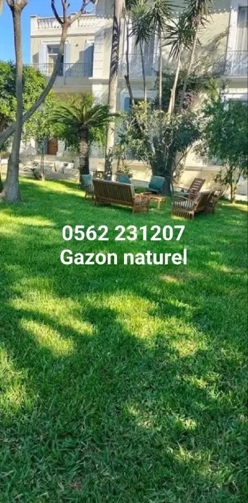 Gazon naturel et plante jardinage 