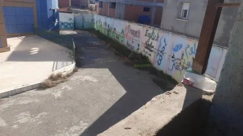 Location Local Tipaza Kolea