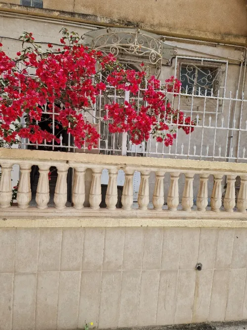 Location Appartement Niveau de villa F5 Constantine El khroub