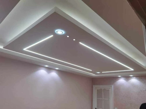 faux plafond BA13/ pvc/demantable  